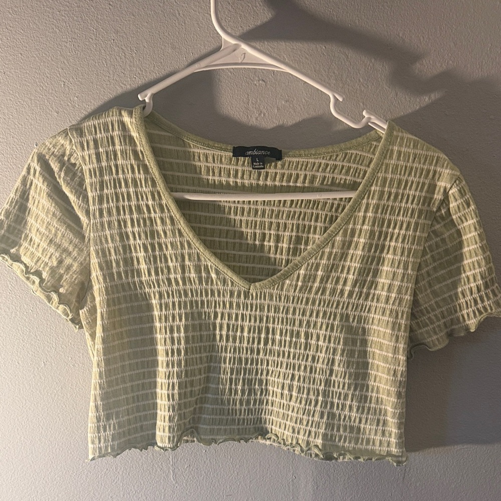 Andree Light Green Textured Crop Top